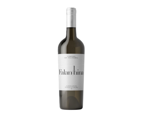 Molettieri, Falanghina, Campania IGP, 2025