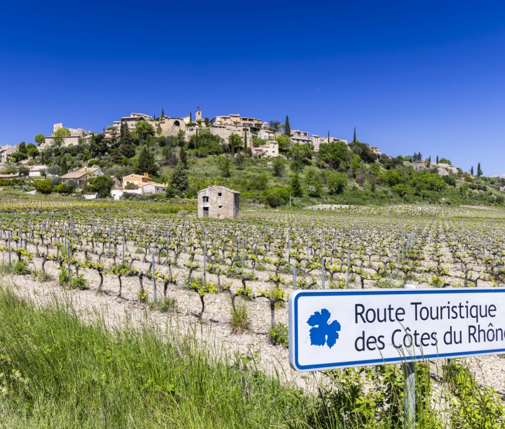 Serious Southern Rh&ocirc;ne Reds