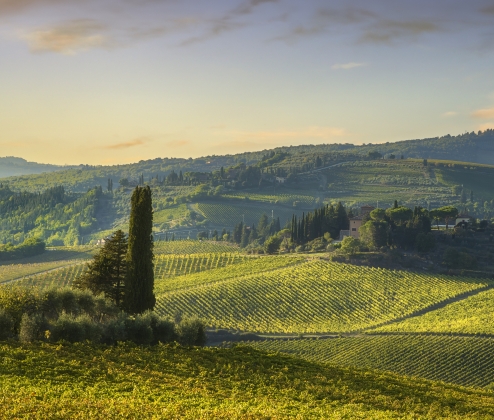 TRATTORIA TWELVE