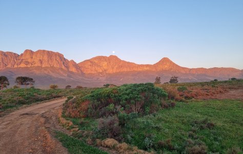 South Africa - The Next Chapter