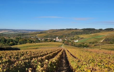 The answer - the northern fringes of Burgundy