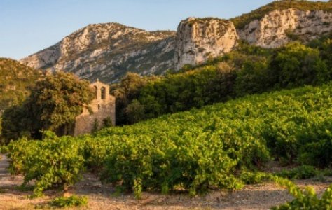 Top Value Wines for 2022